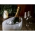 Loire Champagneglas (230 ml) transparant